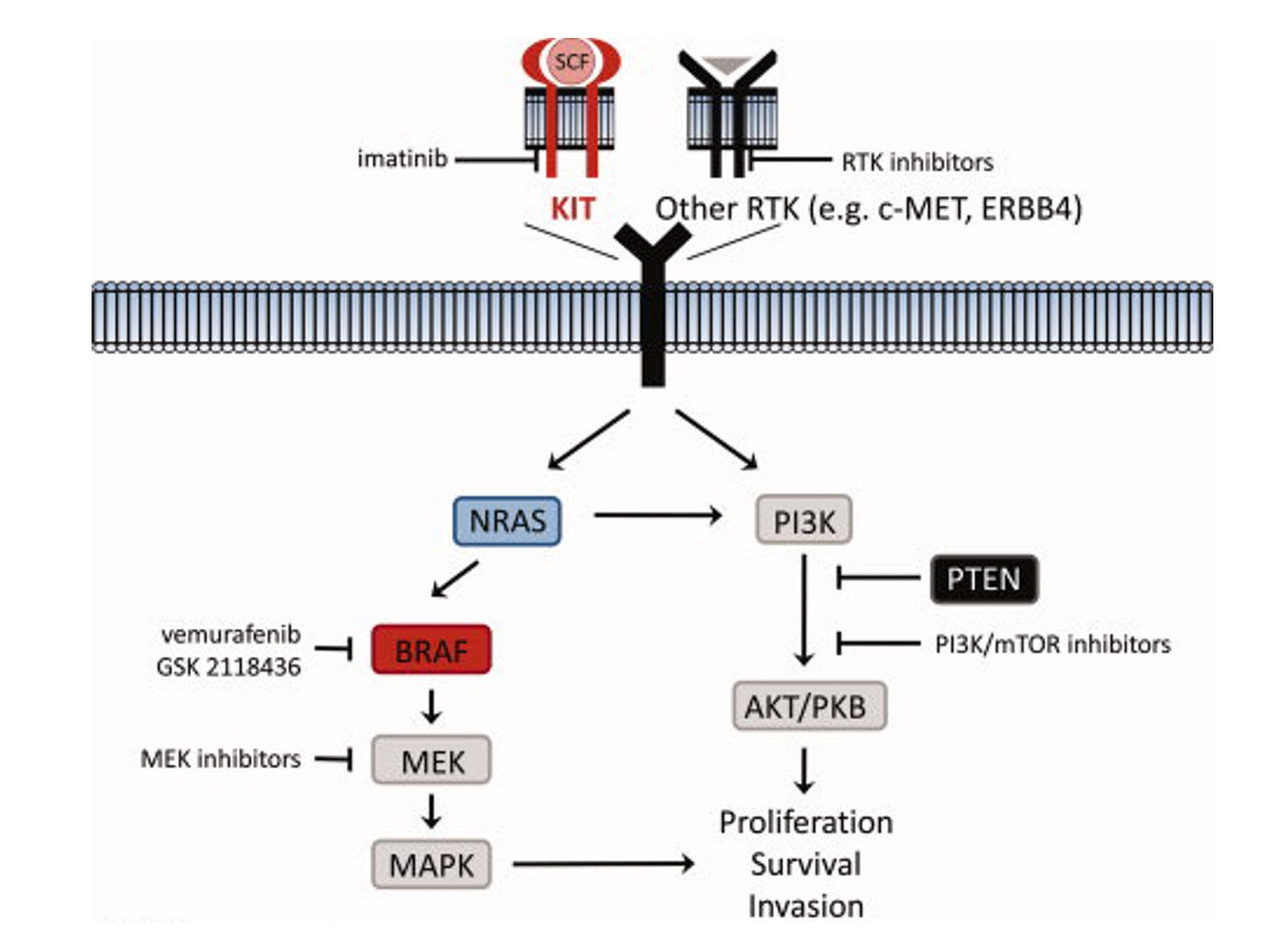 Figure from (Grossmann et al., 2012).