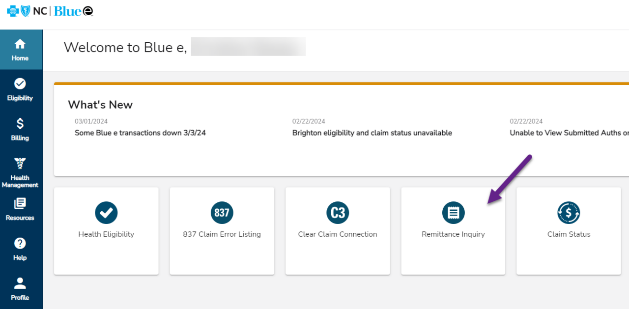 You can view your remittance via the Blue e home screen. 